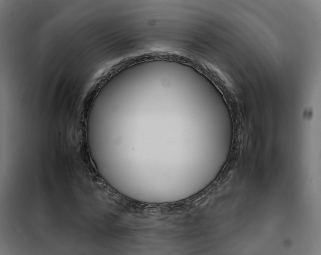 X0000102250776200807250900