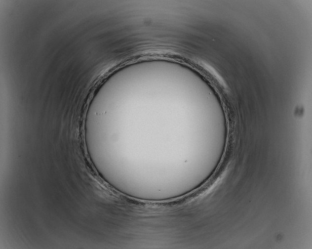 X0000102250777200807250900