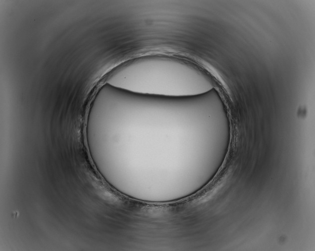 X0000102250778200807250900