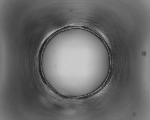 X0000102250779200807250900