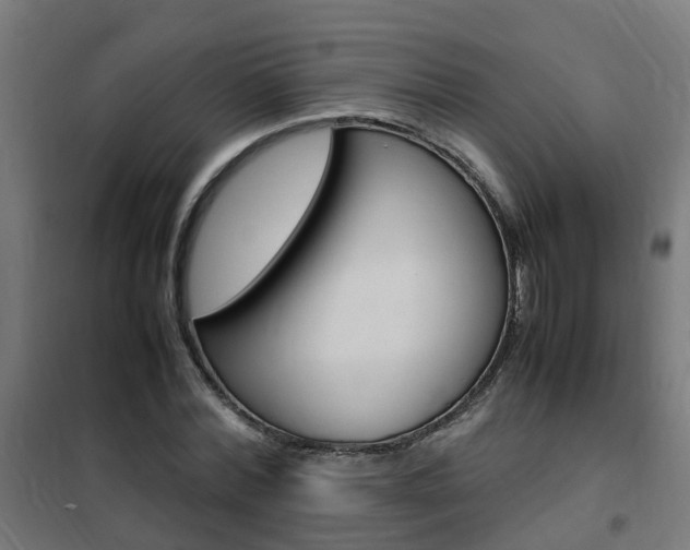 X0000102250780200807250900