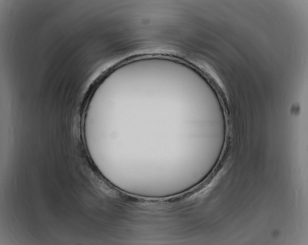 X0000102250781200807250900