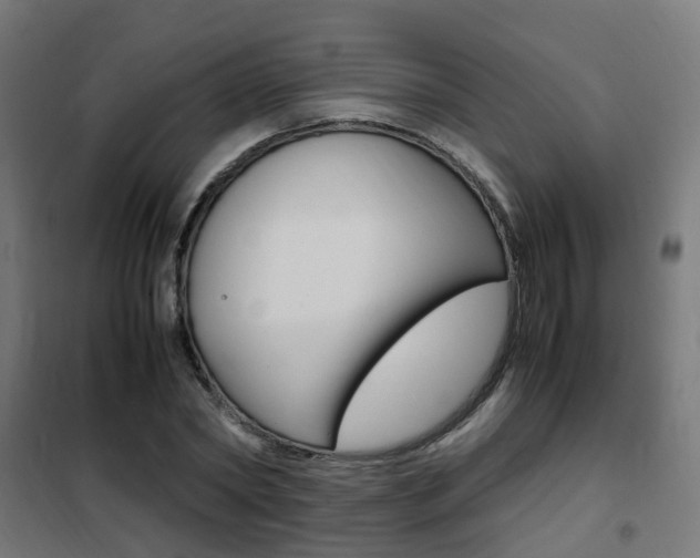 X0000102250782200807250900