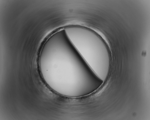 X0000102250783200807250900