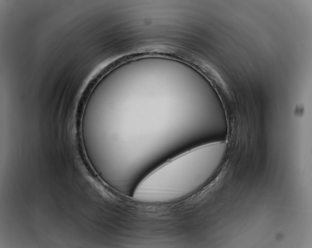 X0000102250784200807250900