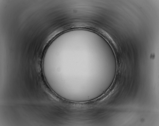 X0000102250786200807250900