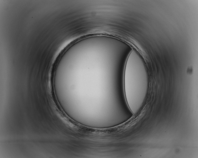 X0000102250788200807250900