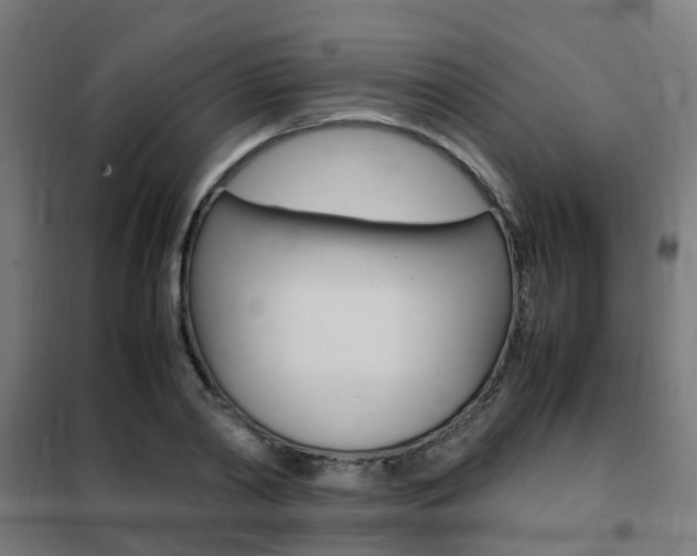 X0000102250790200807250900