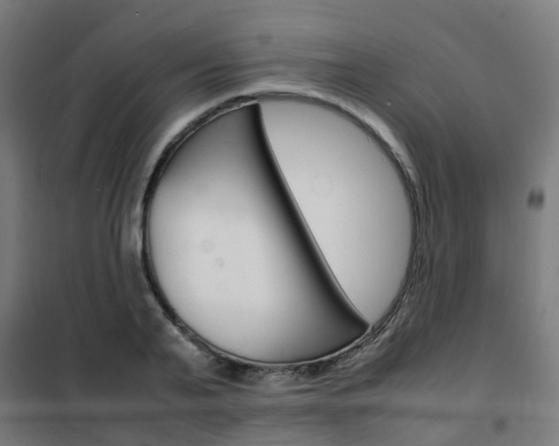 X0000102250791200807250900