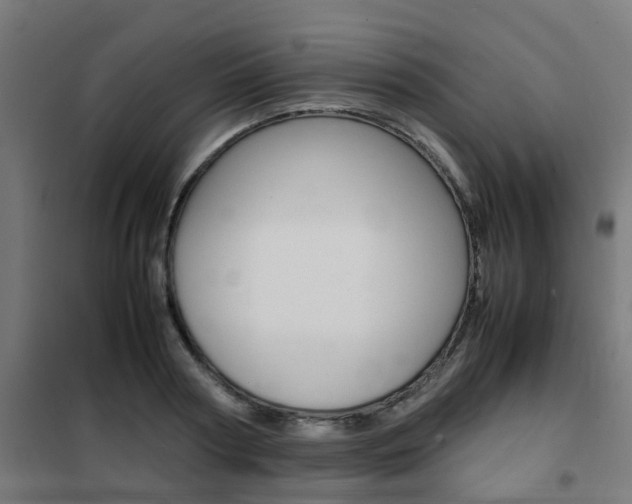 X0000102250794200807250900