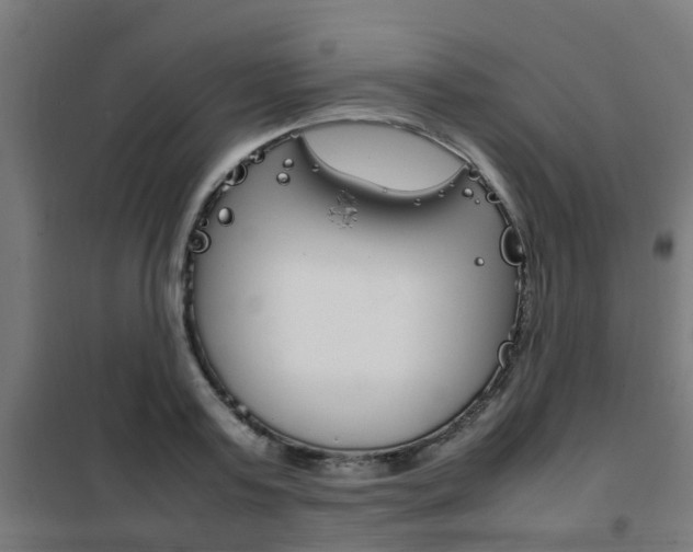 X0000102250795200807250900