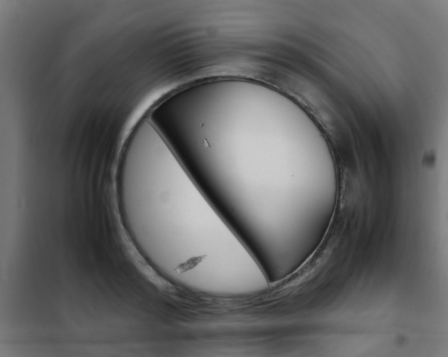 X0000102250796200807250900