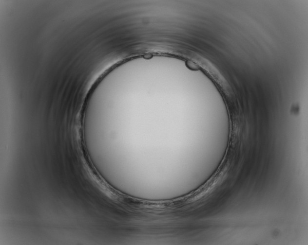 X0000102250798200807250900