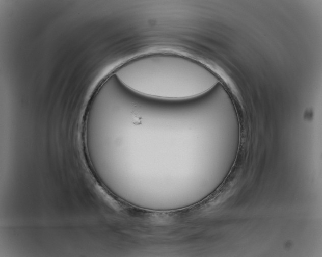 X0000102250799200807250900