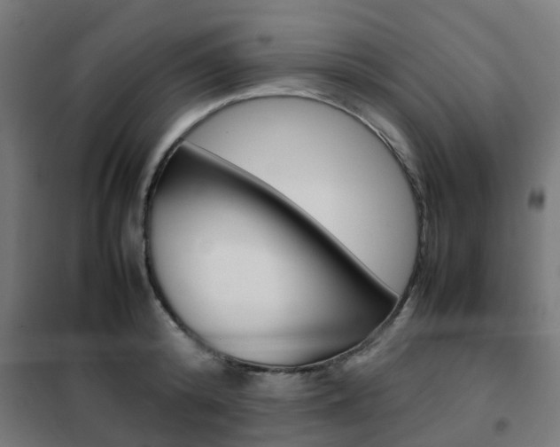 X0000102250800200807250900