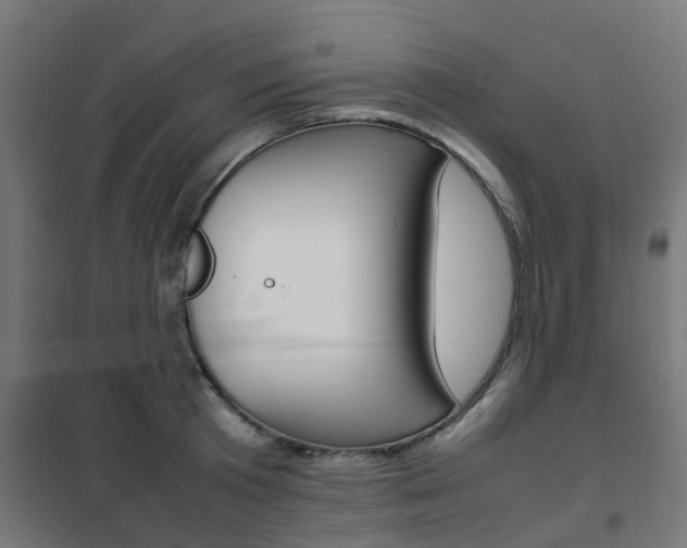 X0000102250801200807250900