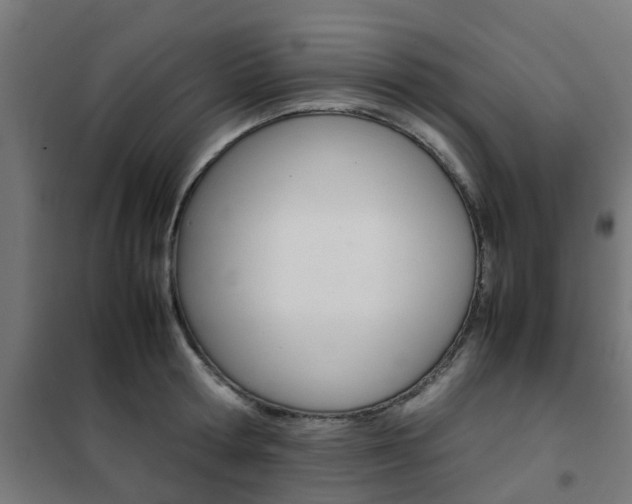 X0000102250802200807250900
