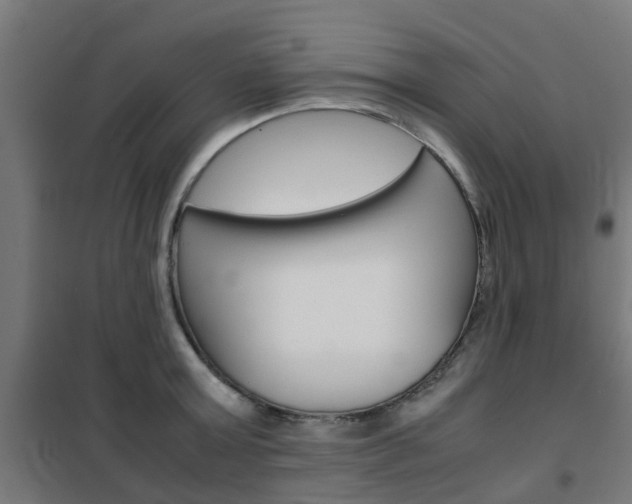 X0000102250803200807250900