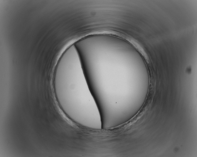 X0000102250805200807250900