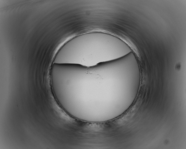 X0000102250806200807250900