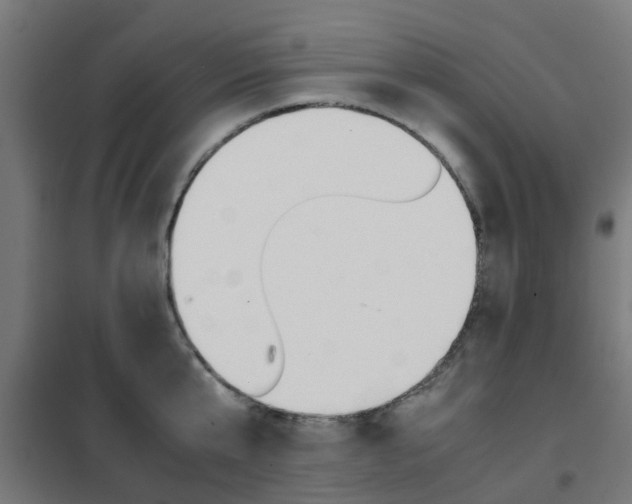 X0000102250807200807250900