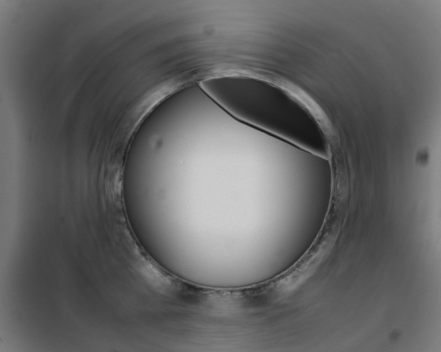 X0000102250809200807250859