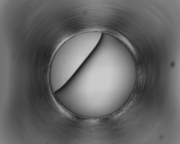 X0000102250810200807250859
