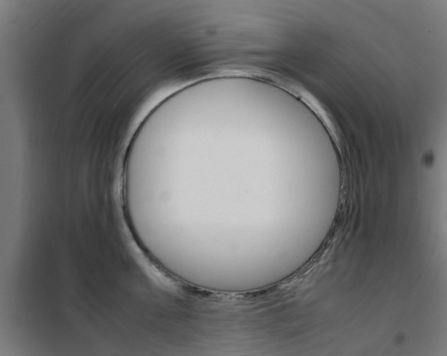 X0000102250811200807250859