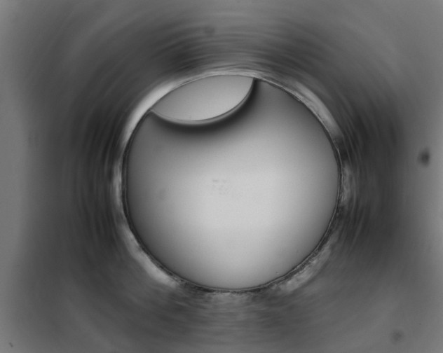 X0000102250812200807250859