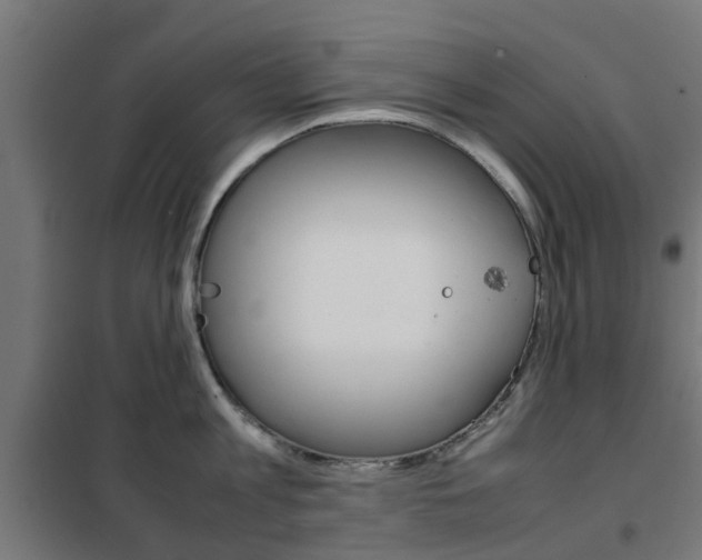 X0000102250813200807250859