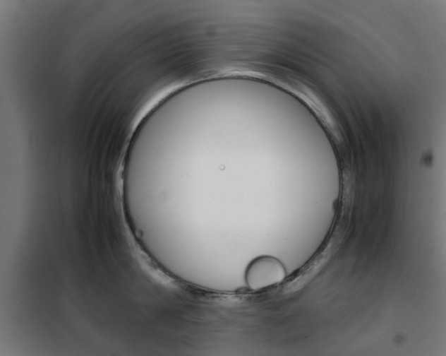 X0000102250814200807250859