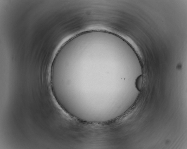 X0000102250815200807250859