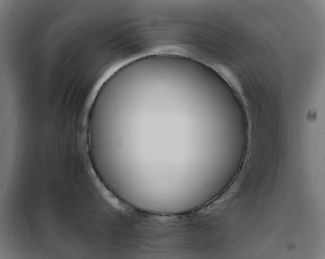 X0000102250816200807250859