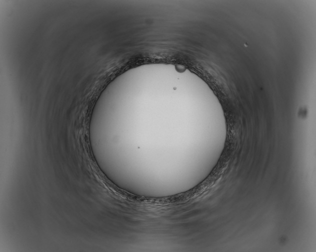 X0000102250817200807250859