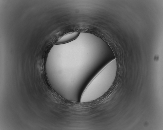 X0000102250818200807250859