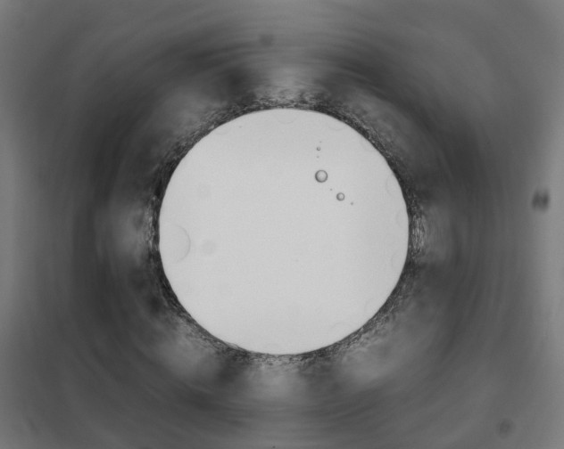 X0000102250820200807250859