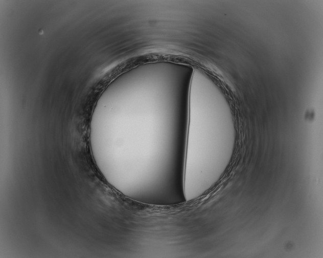 X0000102250822200807250859