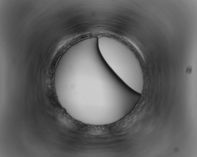 X0000102250823200807250859