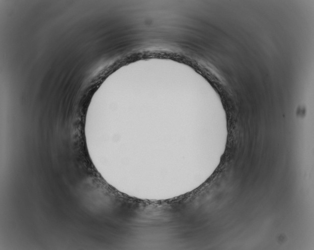 X0000102250824200807250859