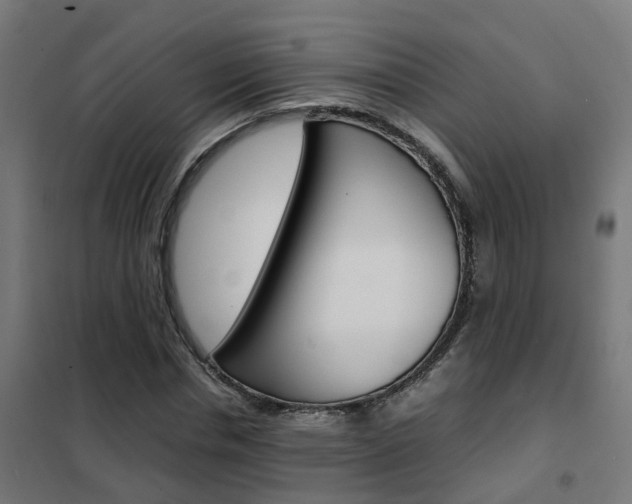 X0000102250826200807250859