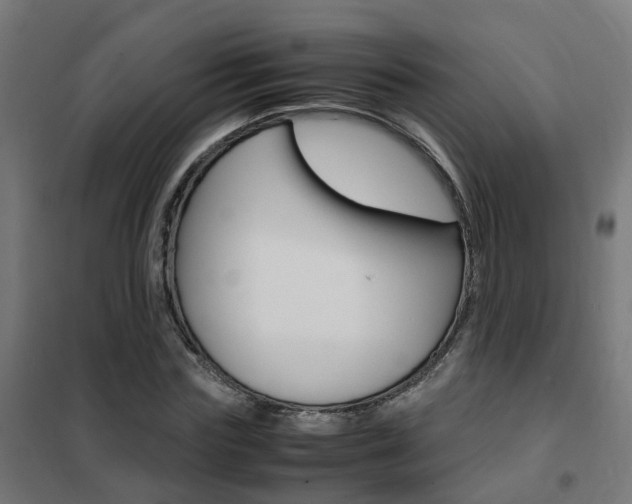 X0000102250827200807250859