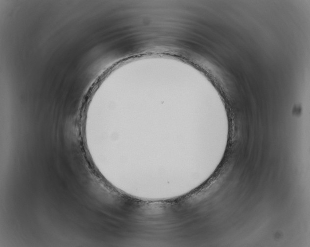 X0000102250828200807250859