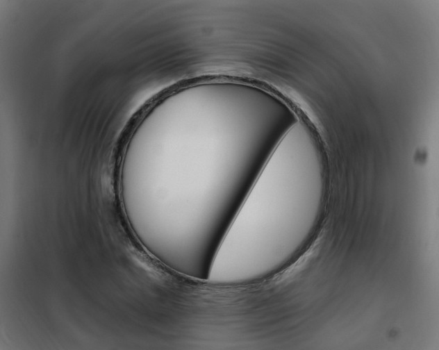 X0000102250830200807250859