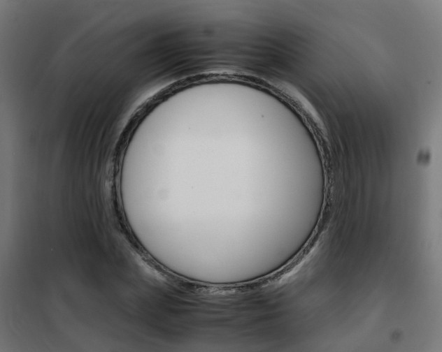 X0000102250831200807250859