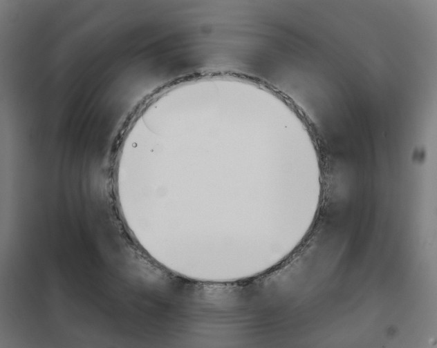 X0000102250832200807250859