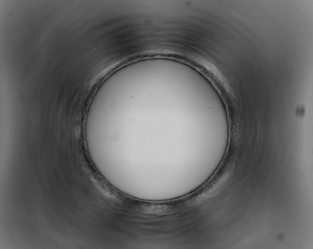 X0000102250833200807250859