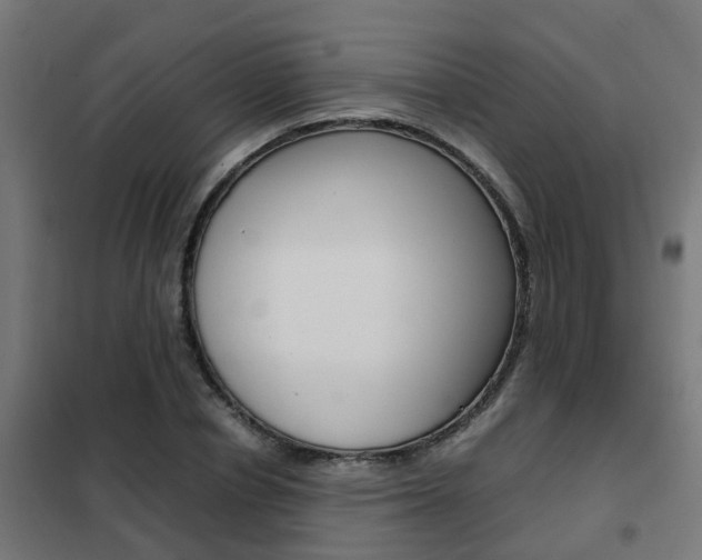 X0000102250834200807250859