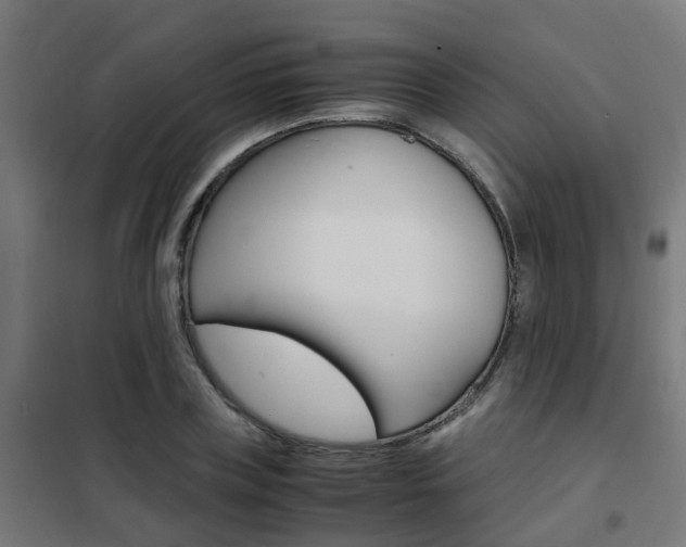 X0000102250835200807250859