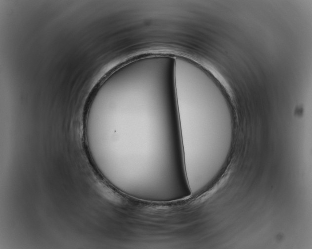 X0000102250837200807250859