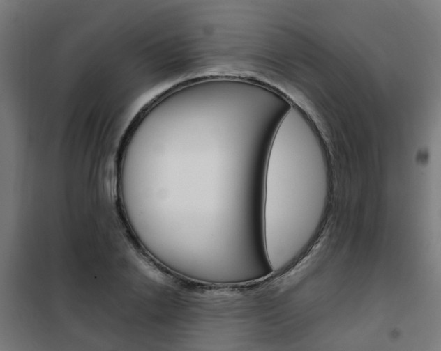 X0000102250838200807250859